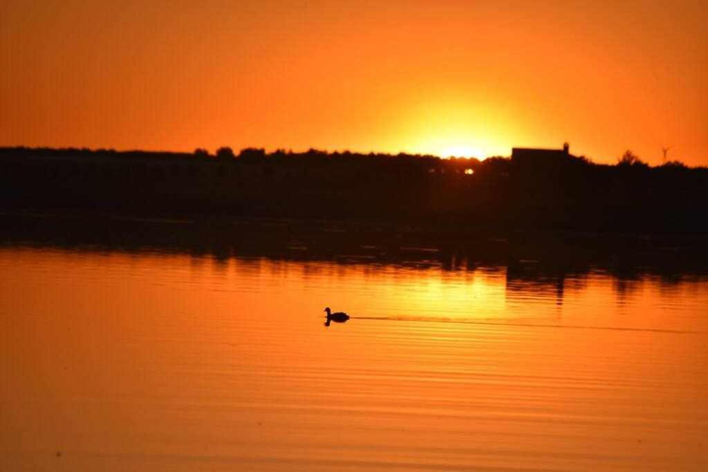 Alojamiento El Pez Casa Con Piscina Climatizada Villafranca de los Caballeros Luaran gambar