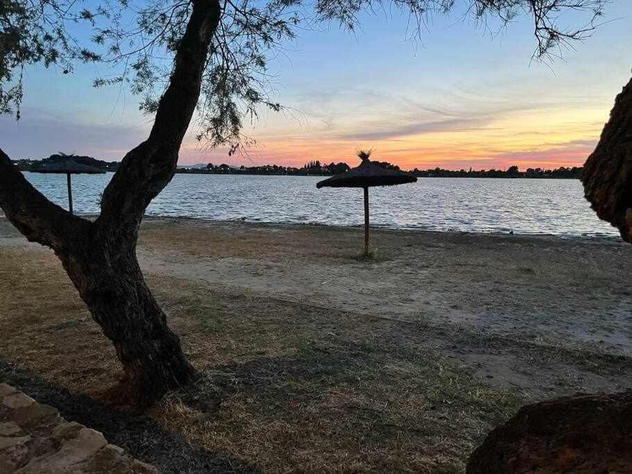 Alojamiento El Pez Casa Con Piscina Climatizada Villafranca de los Caballeros Luaran gambar